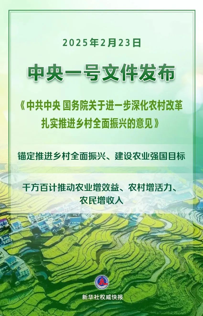 2025年中央一號文件發(fā)布.jpg